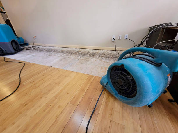 Professional Basement Flood Cleanup technician working in Belmont, CA